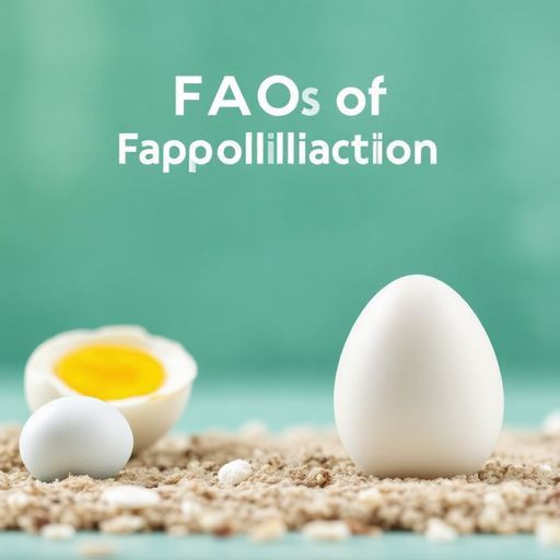 Benefits of Using the Egg Application