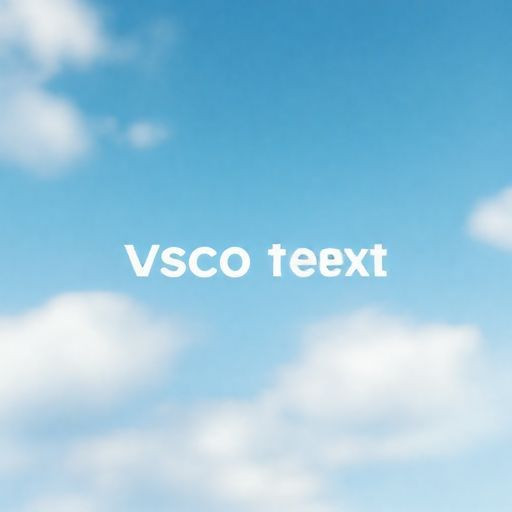 Benefits of Using the VSCO Application